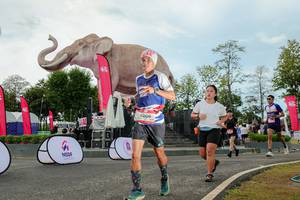 BIB: 
                            <button type="button" onclick="openModal(26528964)" class="btn btn-primary btn-sm float-right btn-popup" data-toggle="modal" data-target=".modal-high-quality">
                        <i class="fas fa-shopping-cart"></i> Add to Cart
                    </button>
                                            <button type="button" onclick="isThisMe(26528964, true)" class="btn btn-success btn-sm float-right btn-popup btn-isme hidden" data-toggle="tooltip" data-placement="bottom" title="นี่คือรูปของคุณใช่ไหม คลิกที่นี่เพื่อเอาเข้าอัลบั้ม">
                        <i class="fas fa-plus"></i> Add to album
                    </button>
                    <button type="button" onclick="isThisMe(26528964, false)" class="btn btn-warning btn-sm float-right btn-popup btn-isnotme hidden">
                        <i class="fas fa-ban"></i> Remove from album
                    </button>